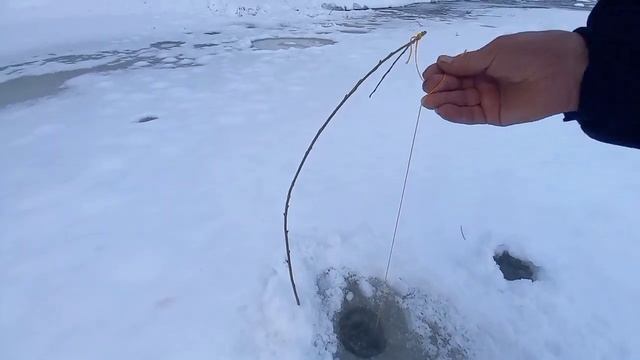РЫБАЛКА НА КОСЫНКИ. КРУПНЫЙ ГОЛАВЛЬ И ОКУНЬ.
