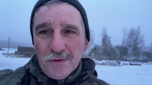 Подарите мне тёлочку!