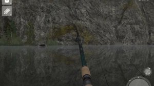Russian Fishing 4 Река Белая. Фарм на донки.