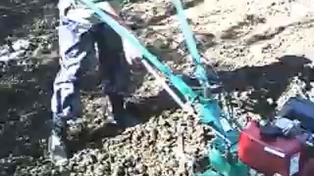 Обработка дизельным мотоблоком.