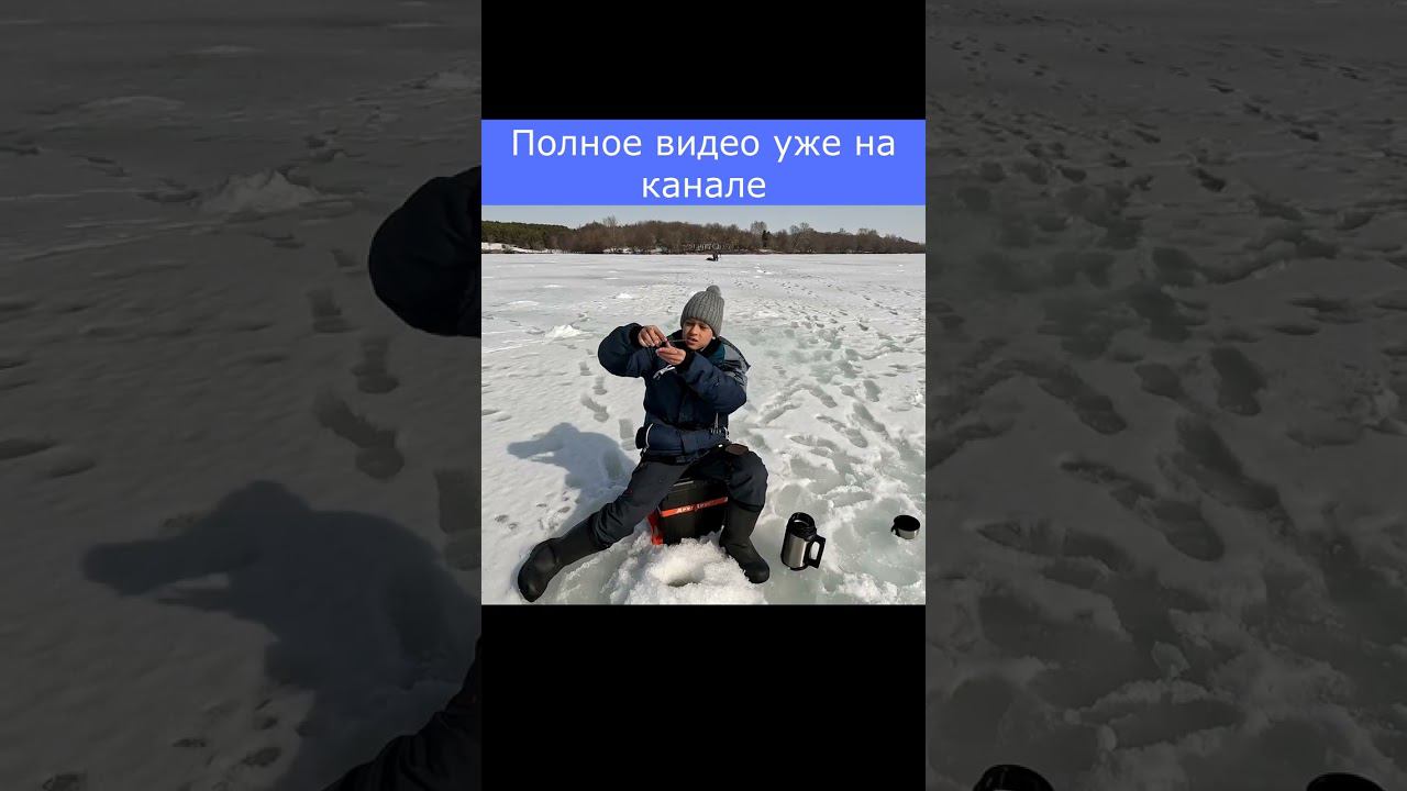 Ловля судака по последнему льду #рыбалка #егоргришин #viral #top #shortvideos #ловлясудака