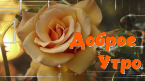 Доброе Утро !Успехов!