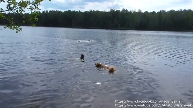 06.06.2021 Озеро Большое Борково. Катя и Алтан смотреть онлайн