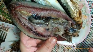 ИВАСИ КОПЧЕНАЯ (НА ВКУС И ЦВЕТ ТОВАРИЩА НЕТ)