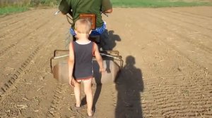 Посев рапса на сидераты для озимого чеснока