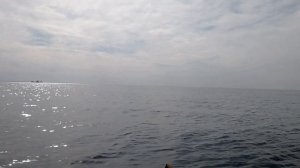 гладь Обского моря