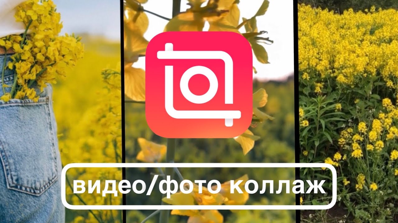 Как сделать коллаж из фото и видео на телефоне в приложении Иншот