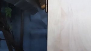 Домик для генератора.