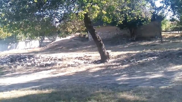 мотоцикл Минск я купил его за 500 рублей смотреть онлайн