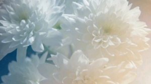 Георгий Иванов -《 Как всё бесцветно, всё безвкусно 》: Стихи