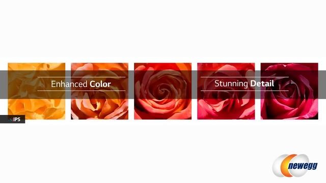 LG 34UC98 Ultra Wide Curved Monitor Interview - Newegg TV смотреть онлайн