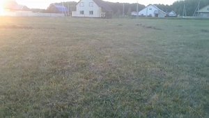 обзор мотоблока ,граблей и адаптера и уборка сена...