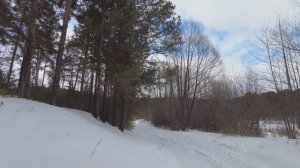 Гуляю по зимнему лесу и размышляю