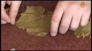 Готовим долма рецепт