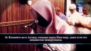 Салман аль утайби