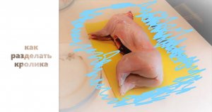 Как правильно разделать кролика. Как разрезать кролика перед приготовлением.