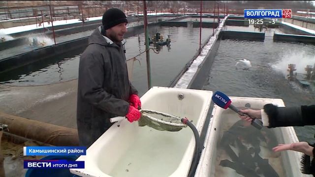 Камышинская форелевая ферма расширит производство