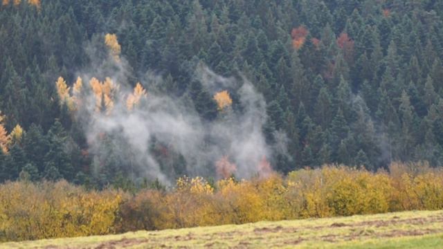 Learn russian language Красота осенней природы смотреть онлайн