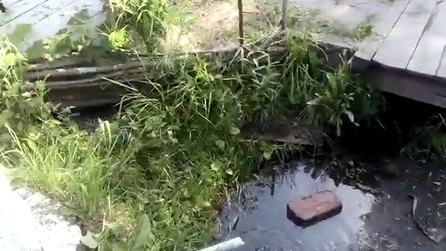 Источник с освященной водой с содержанием ионов серебра. 21.06.21 смотреть онлайн