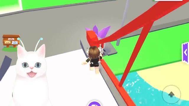 КАКИЕ ПЕТЫ ТОЧНО БУДУТ В ОБНОВЛЕНИИИ АДОПТ МИ! НОВЫЕ ЯЙЦА АДОПТ МИ РОБЛОКС смотреть онлайн