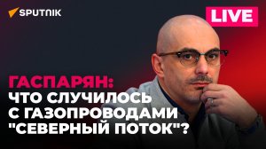 Гаспарян об итогах референдумов и утечке газа на трех нитках "Северного потока" 