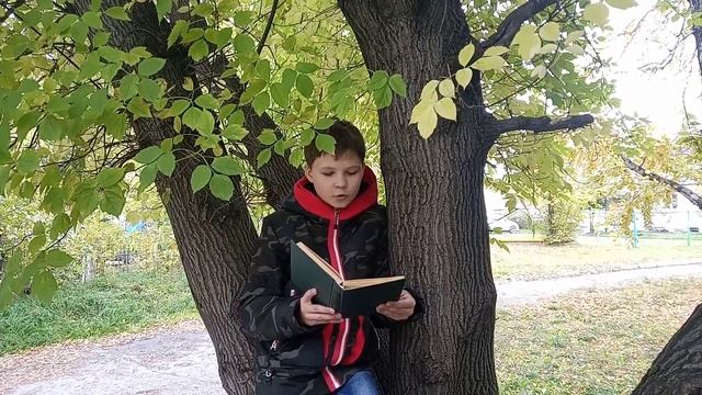 Чтение прогулки и музыкальные уроки занимали марью. Чтение прогулки и музыкальные уроки занимали марью
