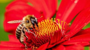 Поздравление с днем рождения - открытки