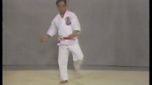 Иссин рю основы