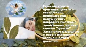 Положи под подушку лавровый лист.