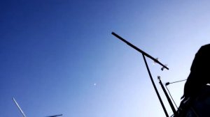 Жердевка, голуби  николаевские  торцовые, жаворонки, бабочки, полтавские wmv