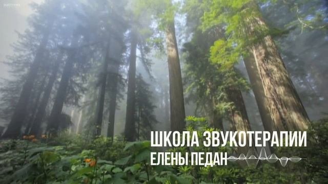 Заземление. Школа Звукотерапии