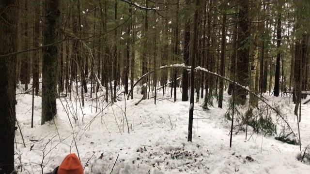 Уборщик заброшенных могил. Зимний поход с ночёвкой! Войсковая часть 61944 "Завхоз" (д.Коковино). смотреть онлайн