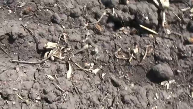 dirt. (official short) смотреть онлайн