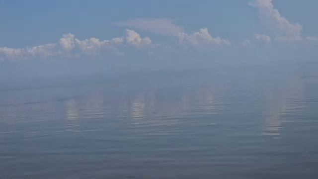 Жара в Эстонии.Купаемся в Чудском озере.Косила траву.Вечернее освещение дачного участка.Дачный влог