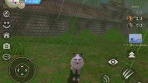 Как получить бесплатно вайлд клаб подписку?