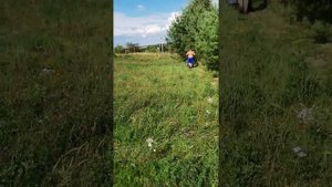 Работа роторной косилка кр-05 нева