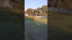 ОБРЕМЕНЕННЫЕ ЗЕМЛИ РЕКИ ПСЕБЕПС Х.СВЕТ СТ. ВАРЕНИКОВСКАЯ КРЫМСКИЙ РАЙОН