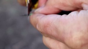 ??ЧУТКИЙ ПОПЛАВОК ІЗ РОГОЗУ / як зробити поплавок своїми руками