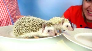 Обычная Еда против Мармелада Челлендж! Мама ПЛАЧЕТ! Real Food vs Gummy Food - Candy Challenge