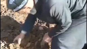 Клип Мастчохи