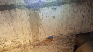 Установка подпитывающей системы на отопление (подпитка)