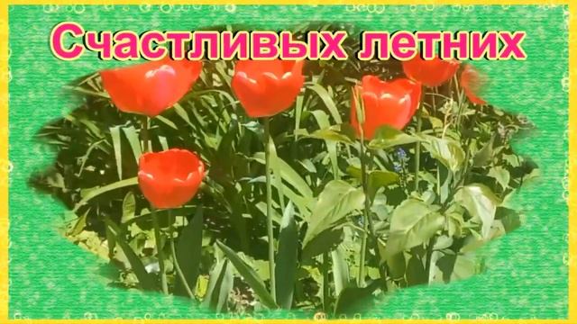 С началом лета ? красивое музыкальное видео поздравление открытка! смотреть онлайн
