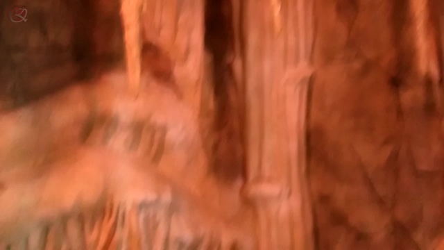 zoo животные, лето, отдых смотреть онлайн