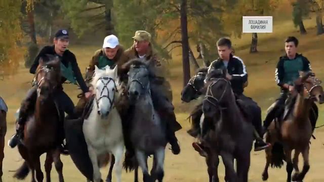 Лошадиная фамилия — Как устроен мир с Тимофеем Баженовым