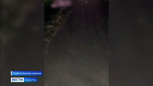 Водитель Мерседеса врезался в табун лошадей на федеральной трассе в Аларском районе