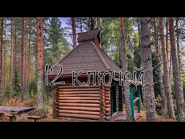 Заунжье. Источник 12 ключей. Берег реки Чёрный Лух. Макарьевский район.