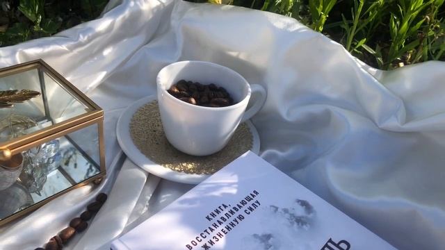 Исцеляющая книга Светланы Тишковой «Целитель». Главный закон для всех и каждого на Земле смотреть онлайн