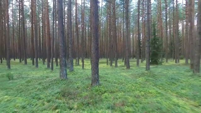 Что читать?(А.Дугин о том, что нужно читать для ознакомления с философией традиционализма.)
