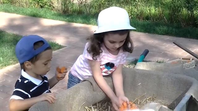 Декоративные кролики на праздник в Москве, 8 965 - 380-13-11 смотреть онлайн