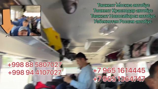 Ташкент Краснодар автобус Ташкент Саратов автобус Ташкент Волгоград автобус Ташкент Ростов автобус